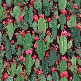 cactus wallpaper iphone