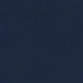 navy blue bg