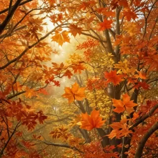 fall leaves