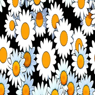 daisy wallpaper iphone