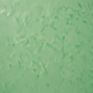 light green background plain