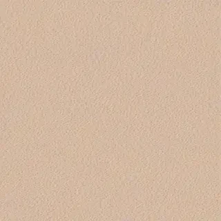 neutral phone wallpaper
