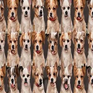 backgrounds of cute dogs
