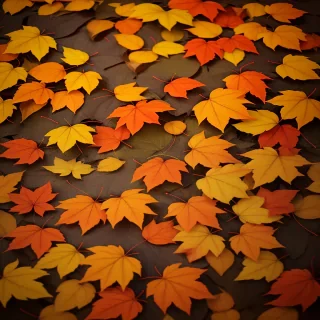 fall leaves