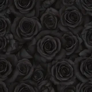 black roses background