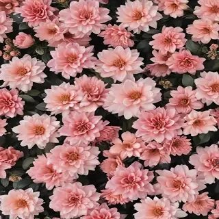 aesthetic flower wallpaper
