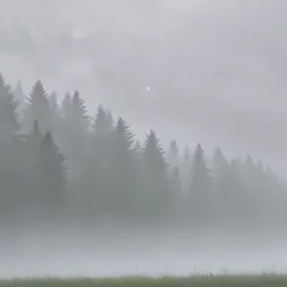 foggy background