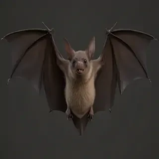 bat png
