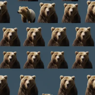 bears png