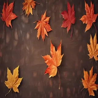 autumn iphone wallpaper
