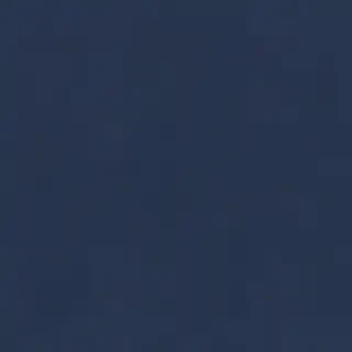 light navy blue background