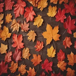 autumn leaves iphone wallpaper