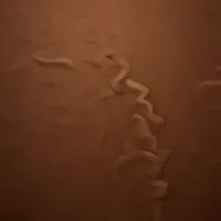 brown background wallpaper