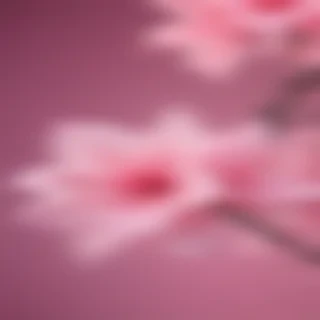cute pink backround