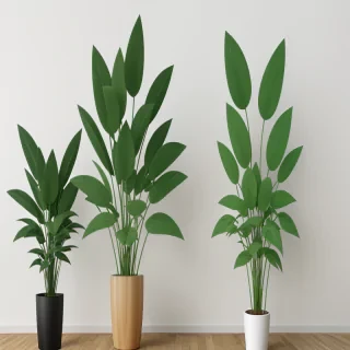 aesthetic plants png