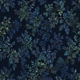 dark blue back ground