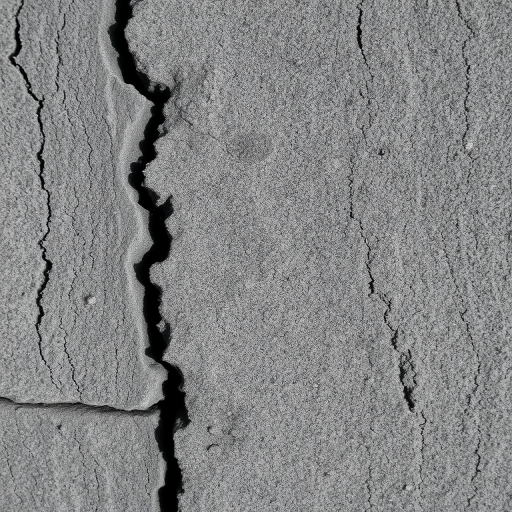 scratchy texture