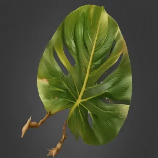 tropical leaf png