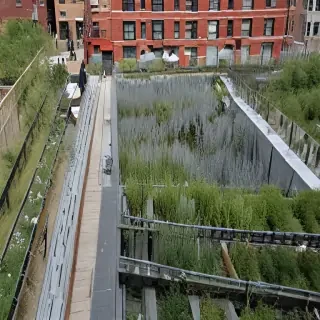 high line photos