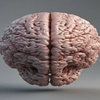 brain png
