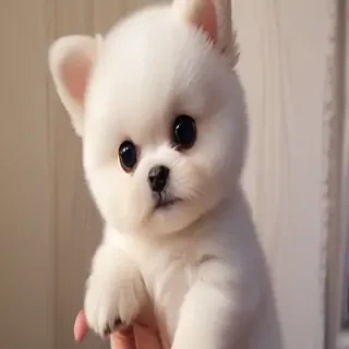 cute pic image