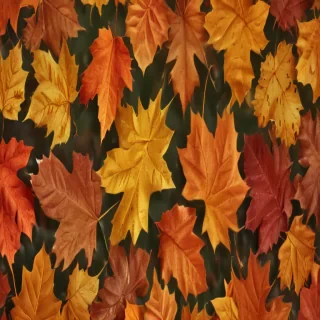 fall leaves png transparent