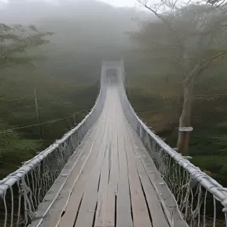 suspension bridge