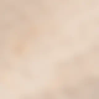 neutral aesthetic background
