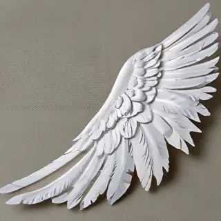 angel wing pictures