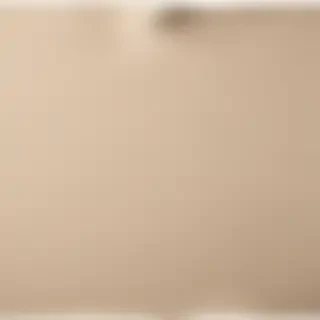 torn paper png