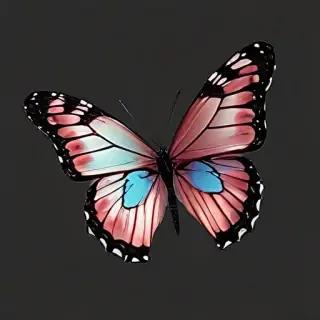 butterfly clipart transparent background