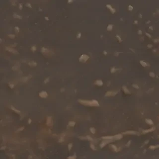 dust png