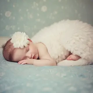 sleeping wallpaper