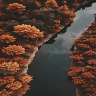 fall aesthetic wallpaper iphone