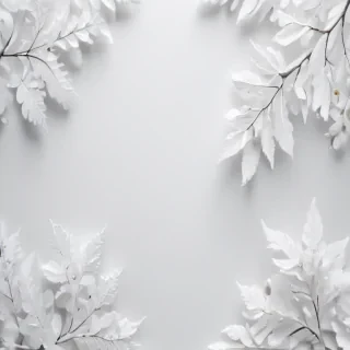 white background wallpaper