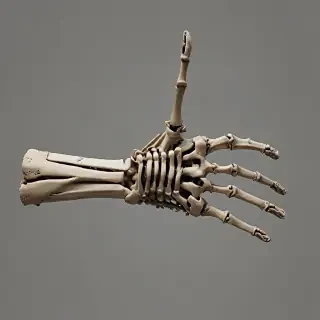 skeleton hand png