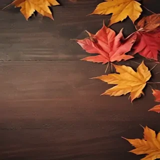 autumn leaves iphone wallpaper