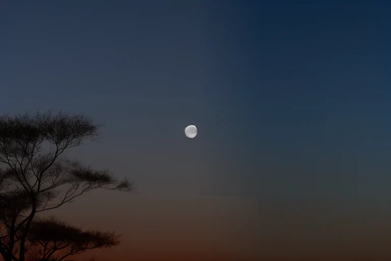moon no background